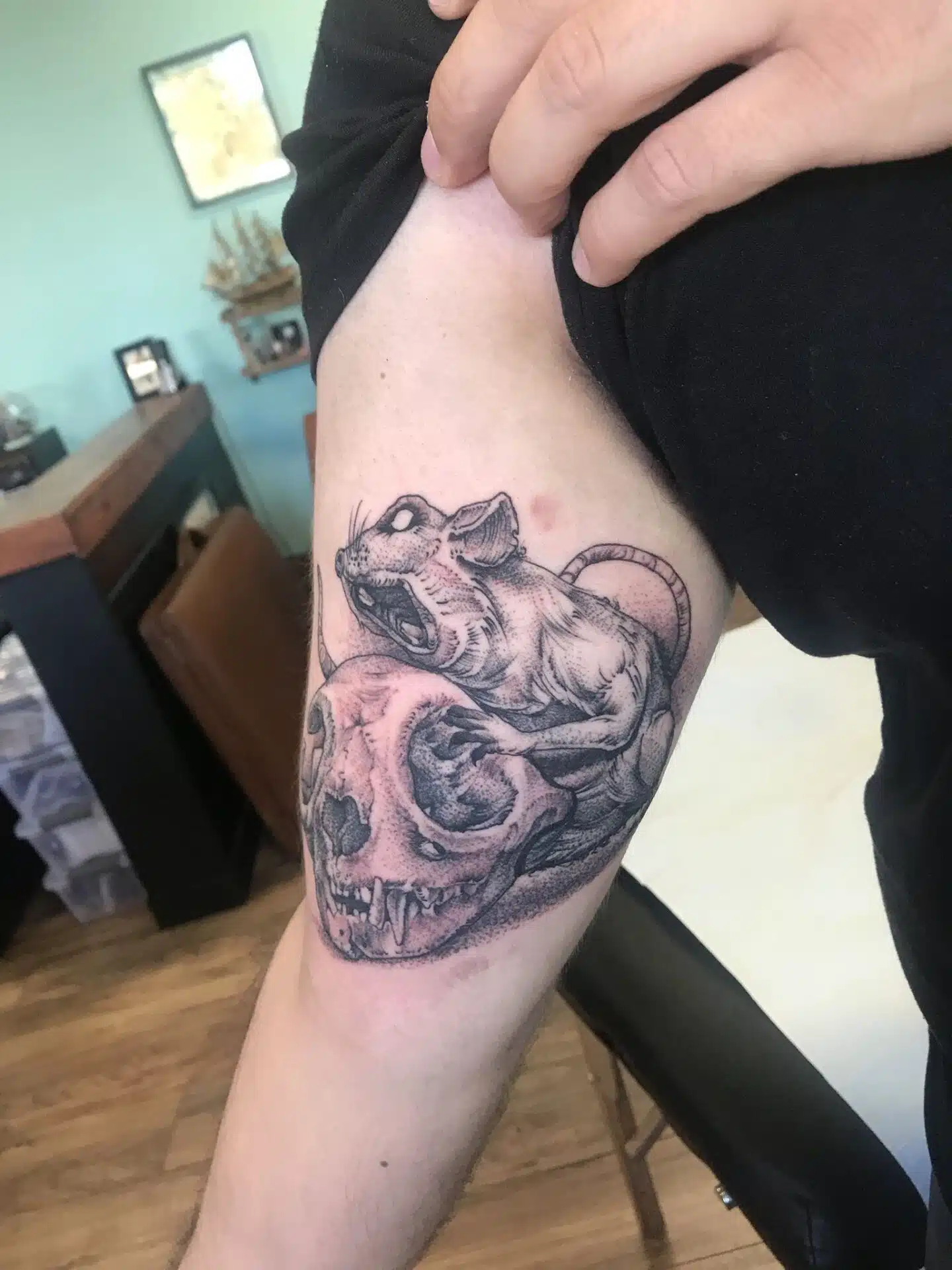 Rat And Skull Tattoo