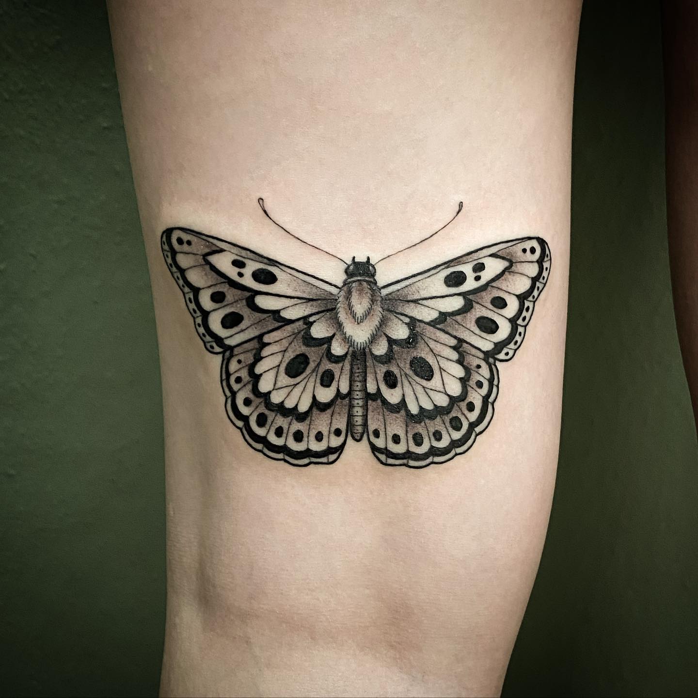 Realistic Moth Tattoos