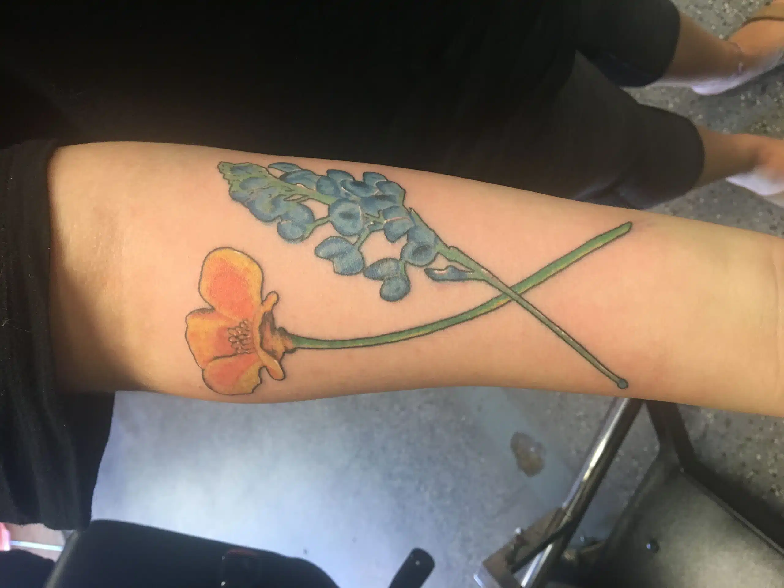 Bluebonnet and poppy tattoo