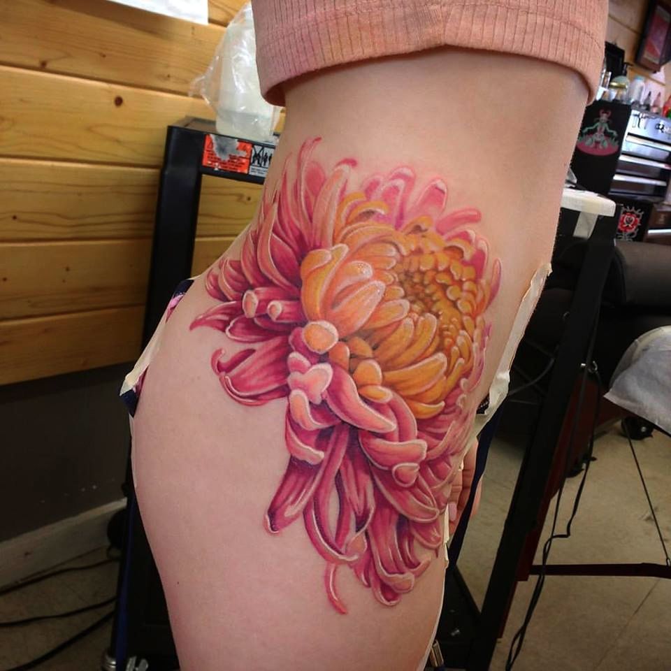 Pink Chrysanthemum Tattoo