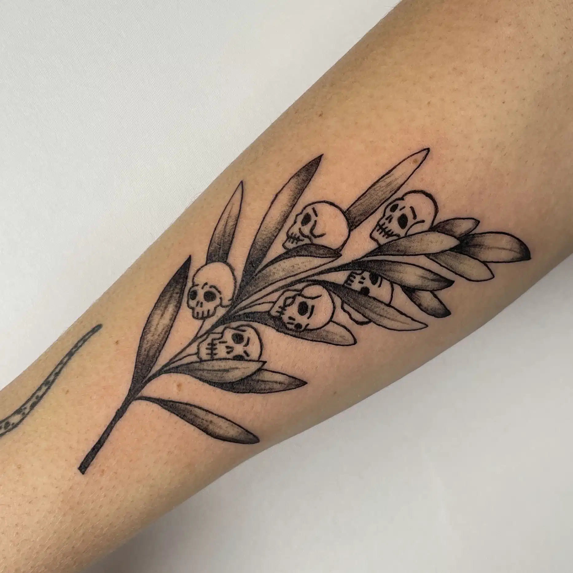 Skull and olive branch tattoo
