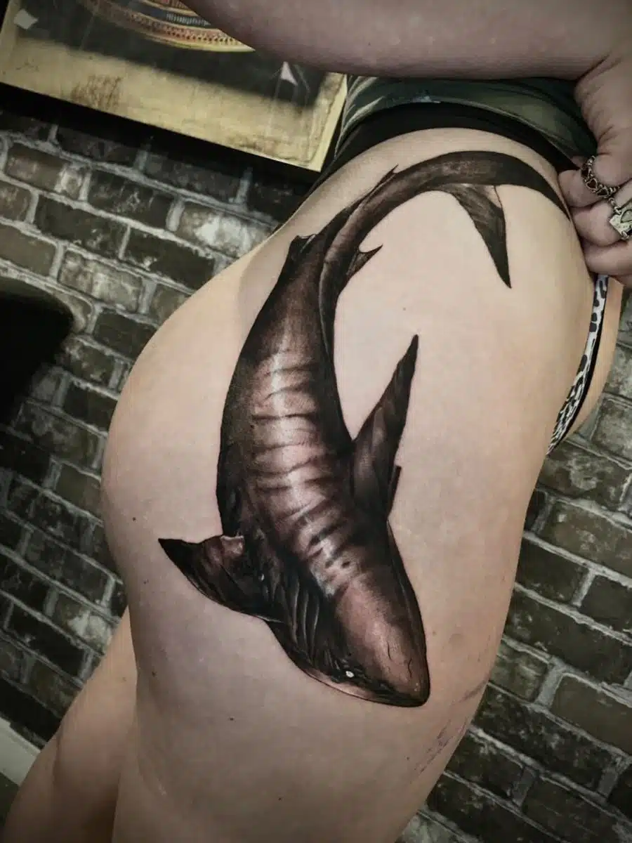 Tiger shark tattoo