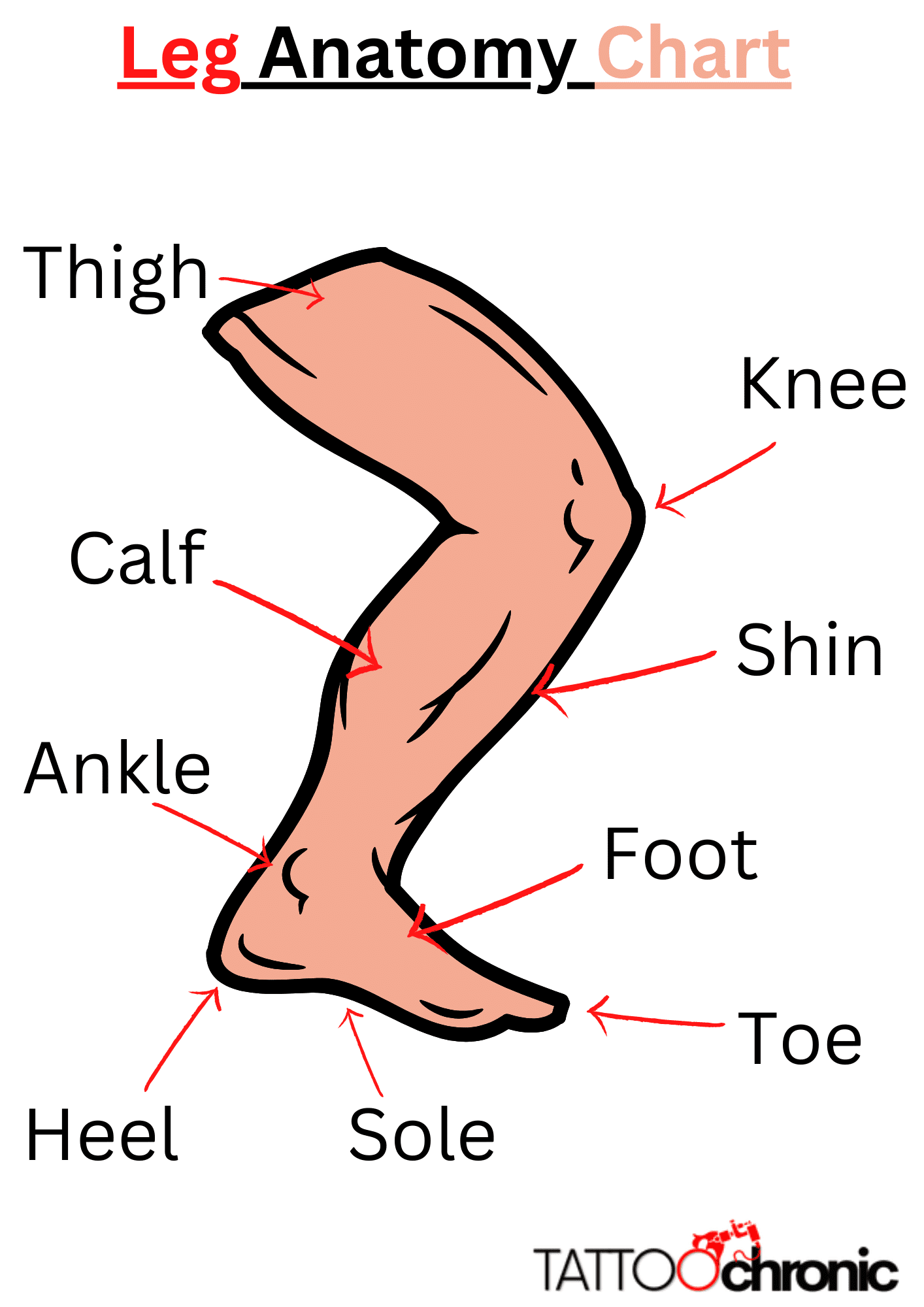 leg anatomy chart tattoochronic com