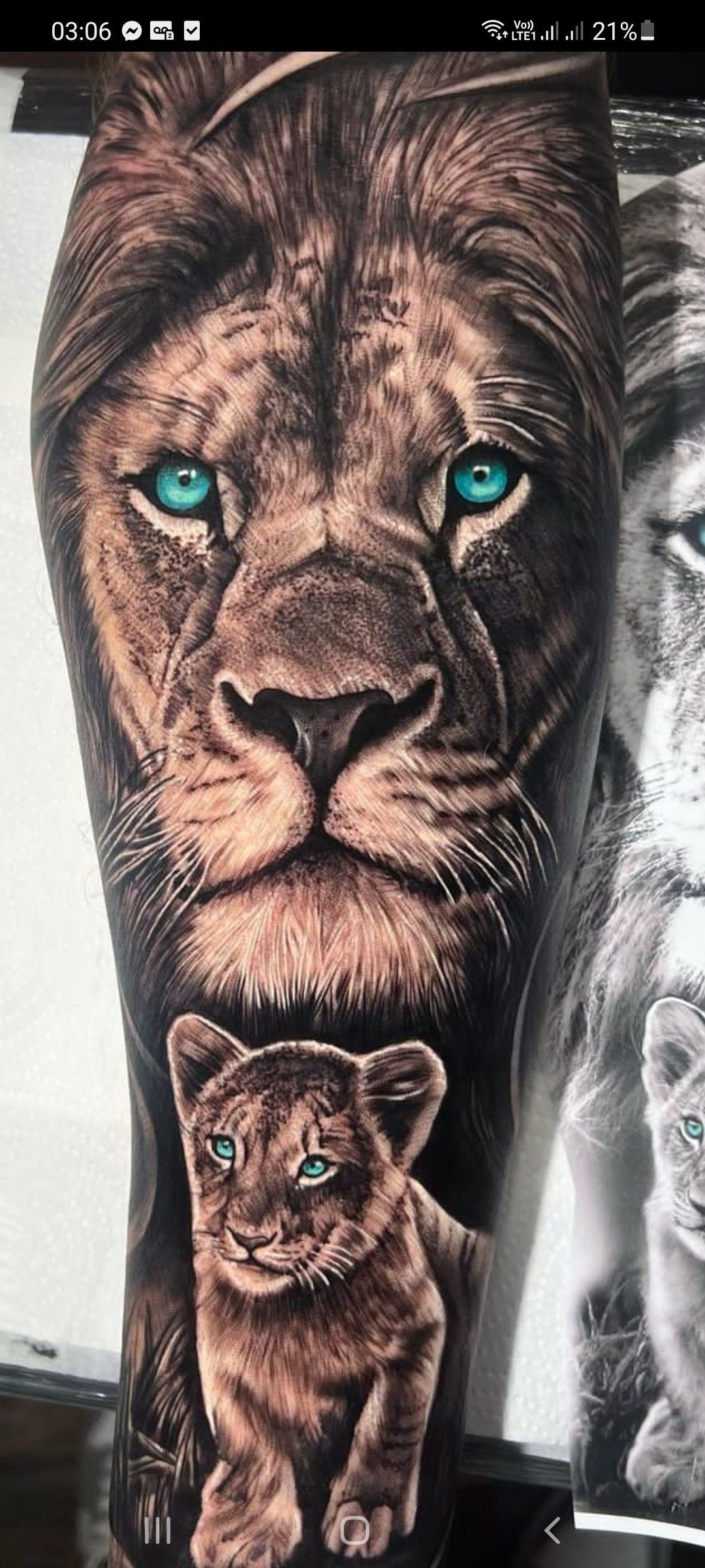 Lion And Cub Tattoo