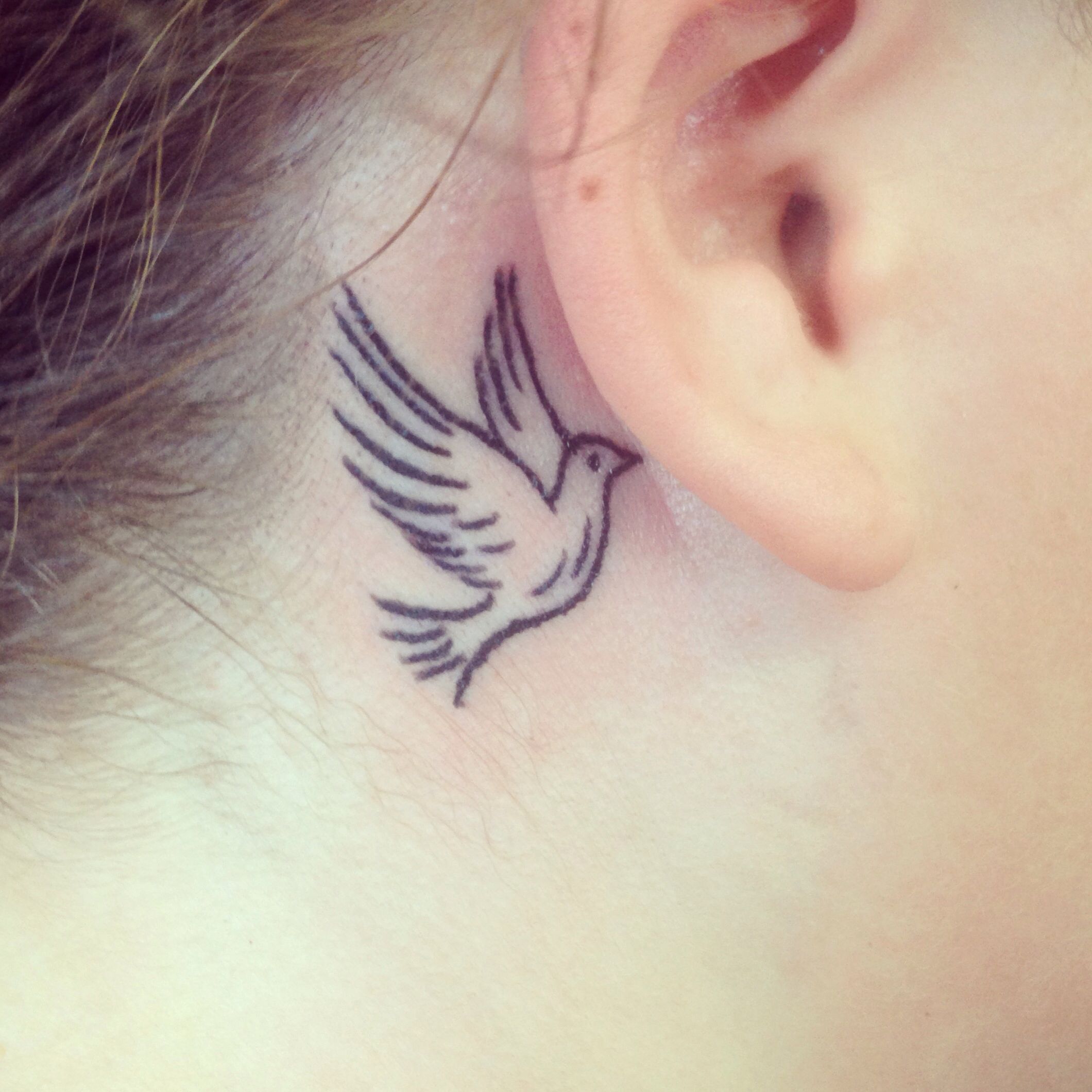 Dove Tattoo Behind Ear